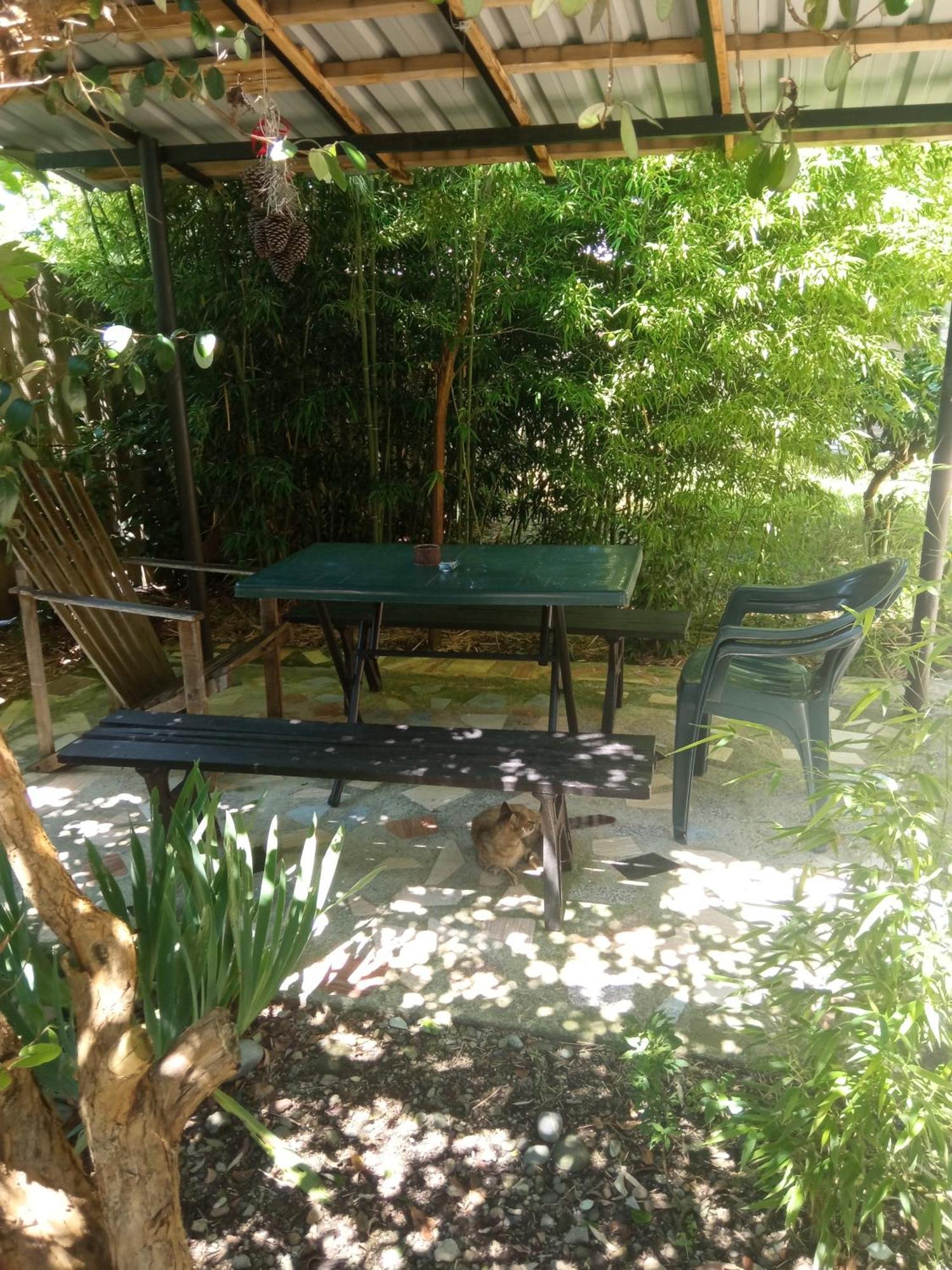 Zaza Hotel Koboeleti Buitenkant foto